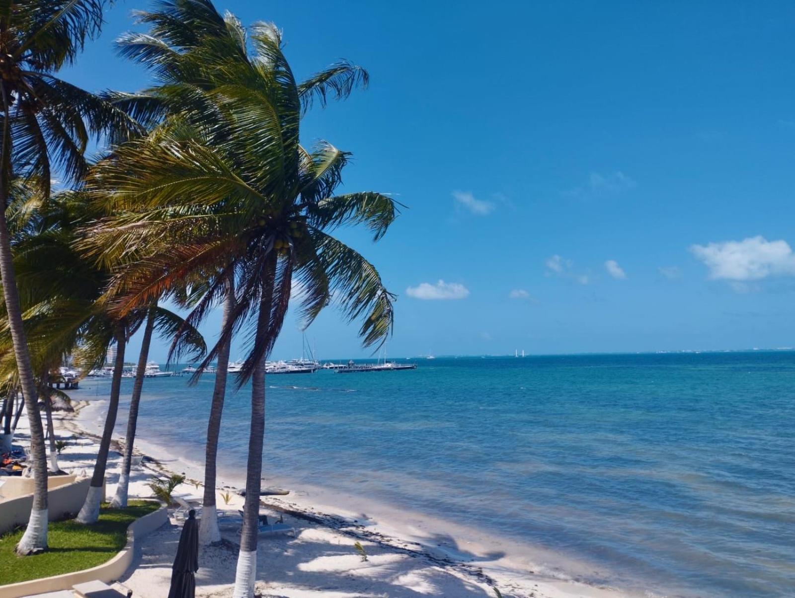 Cancun Ocean View Playa Del Nino Szoba fotó